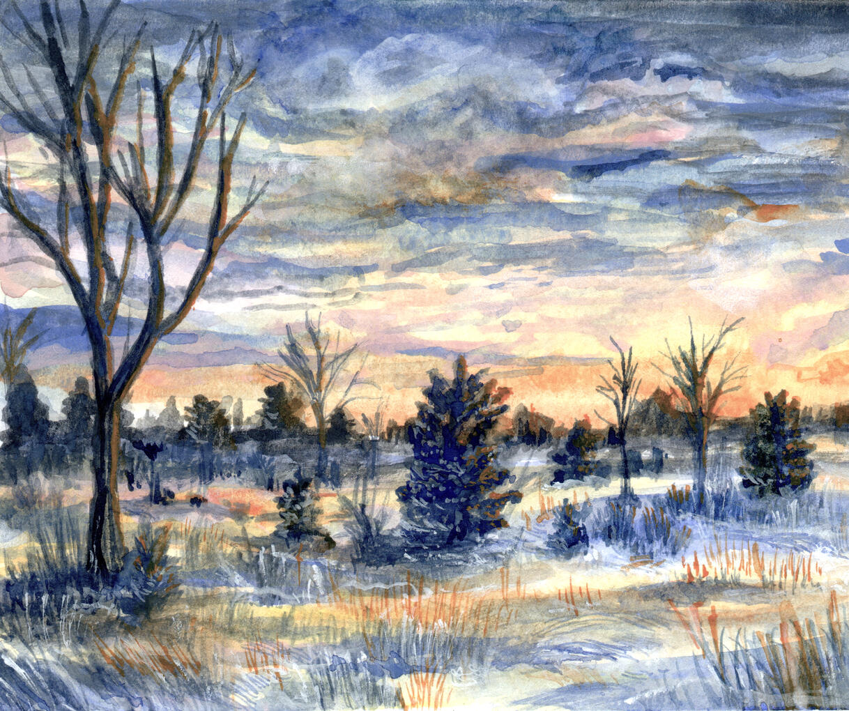 Landscapes